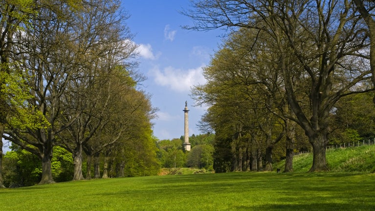 View of the Column to Liberty from the Avenue in spring